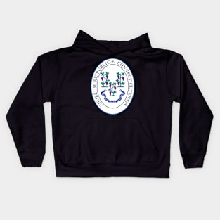 Connecticut Coat of Arms Kids Hoodie